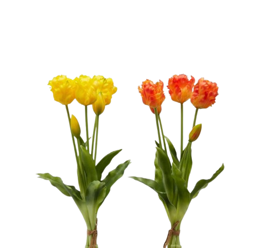 Bouquet 5 Tulipani Aperti  H 40 cm - EDG