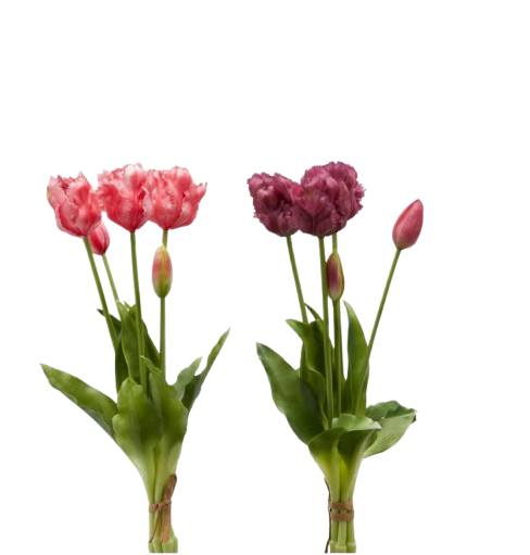 Bouquet 5 Tulipani Aperto  H 40 cm - EDG