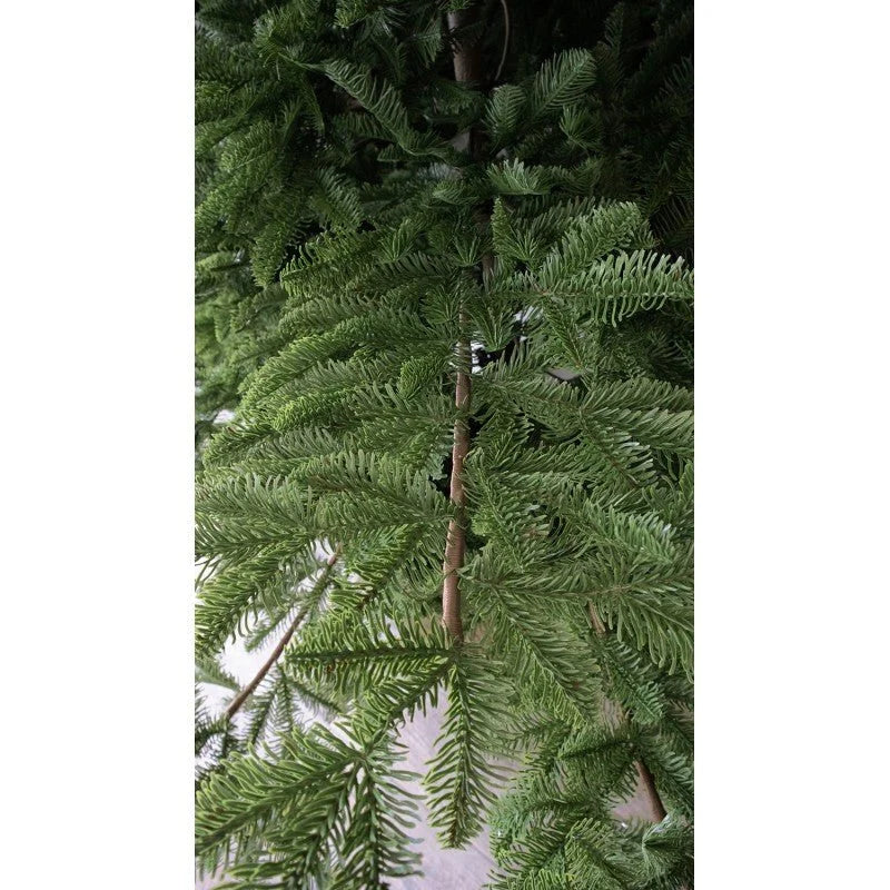 Albero Rockefeller 180 cm di Salvatore Izzo – Realistico. PREORDINE