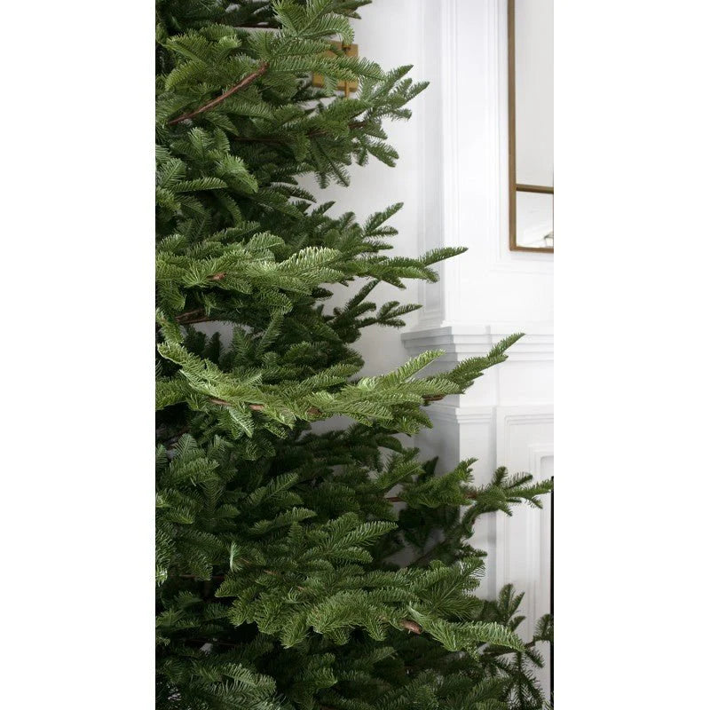 Albero Rockefeller 180 cm di Salvatore Izzo – Realistico. PREORDINE
