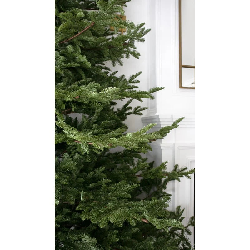Albero Rockefeller 210 cm di Salvatore Izzo – Realistico PREORDINE