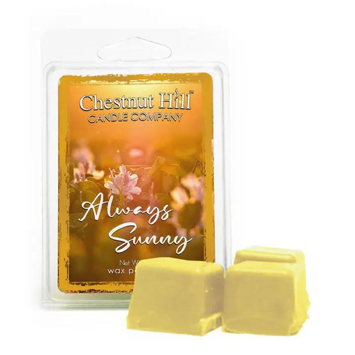 Cire parfumée 85 g ALWAYS SUNNY CHESTNUT HILL