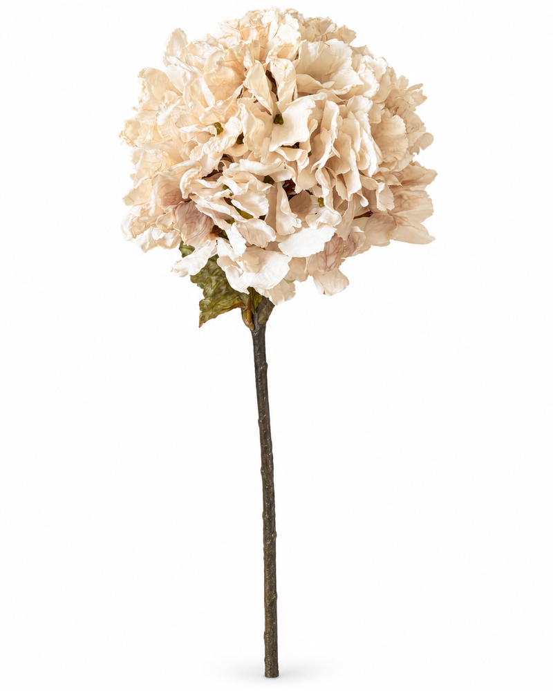 Ortensia Artificiale Avorio Antico Blanc Mariclò H 120 cm