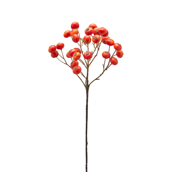 Berry branch H 60 cm -Edg