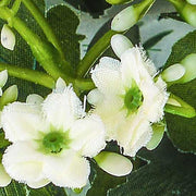 Fiore artificiale Mini Calancoe 30 cm - Arredo Casa da Sogno