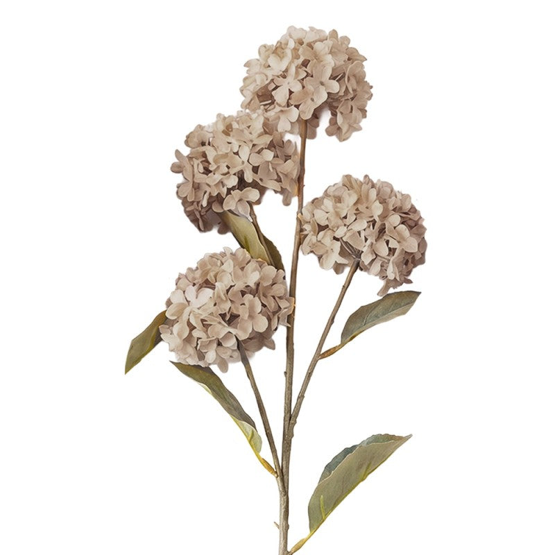 Ortensia Beige H 70 cm Clayre & eef