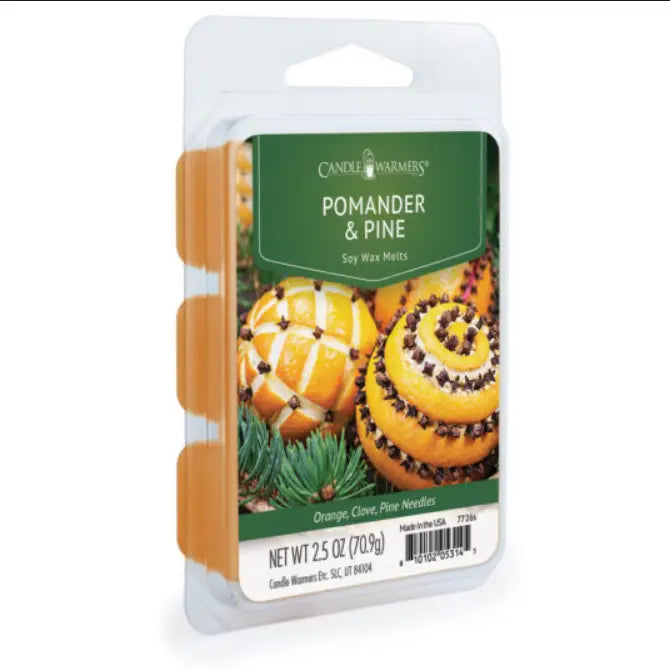 Cera profumata 70 g Pomander e pine  Candle warmers