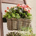 Fioriera in rattan piccola  30x18x16cm - Arredo Casa da Sogno