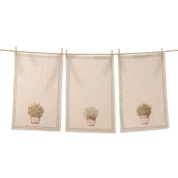 Set 3 Strofinacci Cucina Erbe Aromatiche 70x40 cm