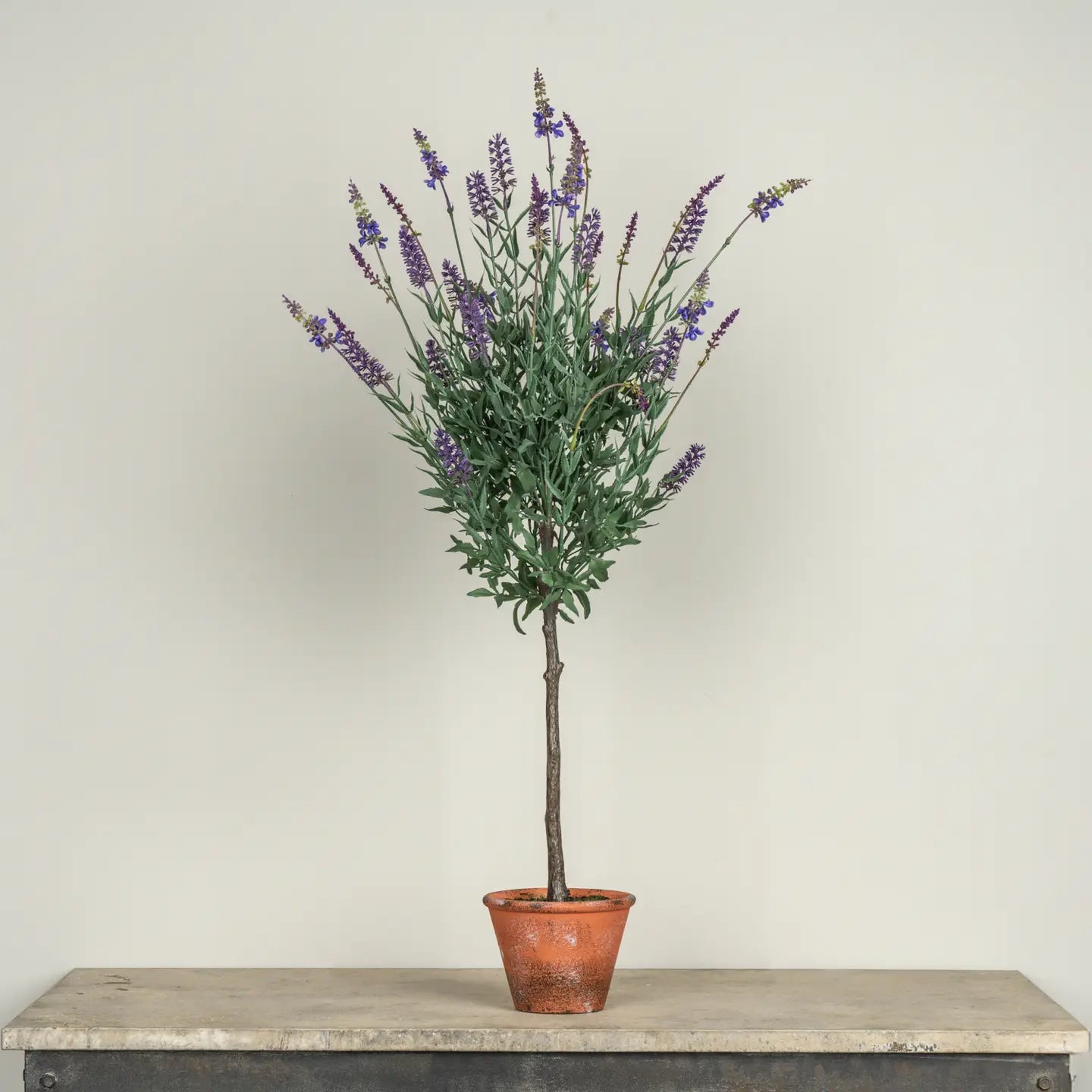 Albero di Lavanda in Vaso 68,6 cm
