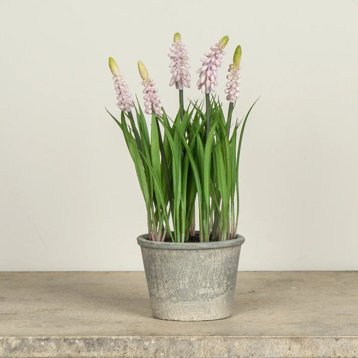 Giacinto Artificiale in Vaso 27,9 cm
