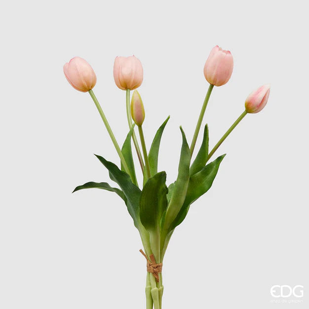 Bouquet 5 Tulipes olis Rose Clair H 40 cm - EDG