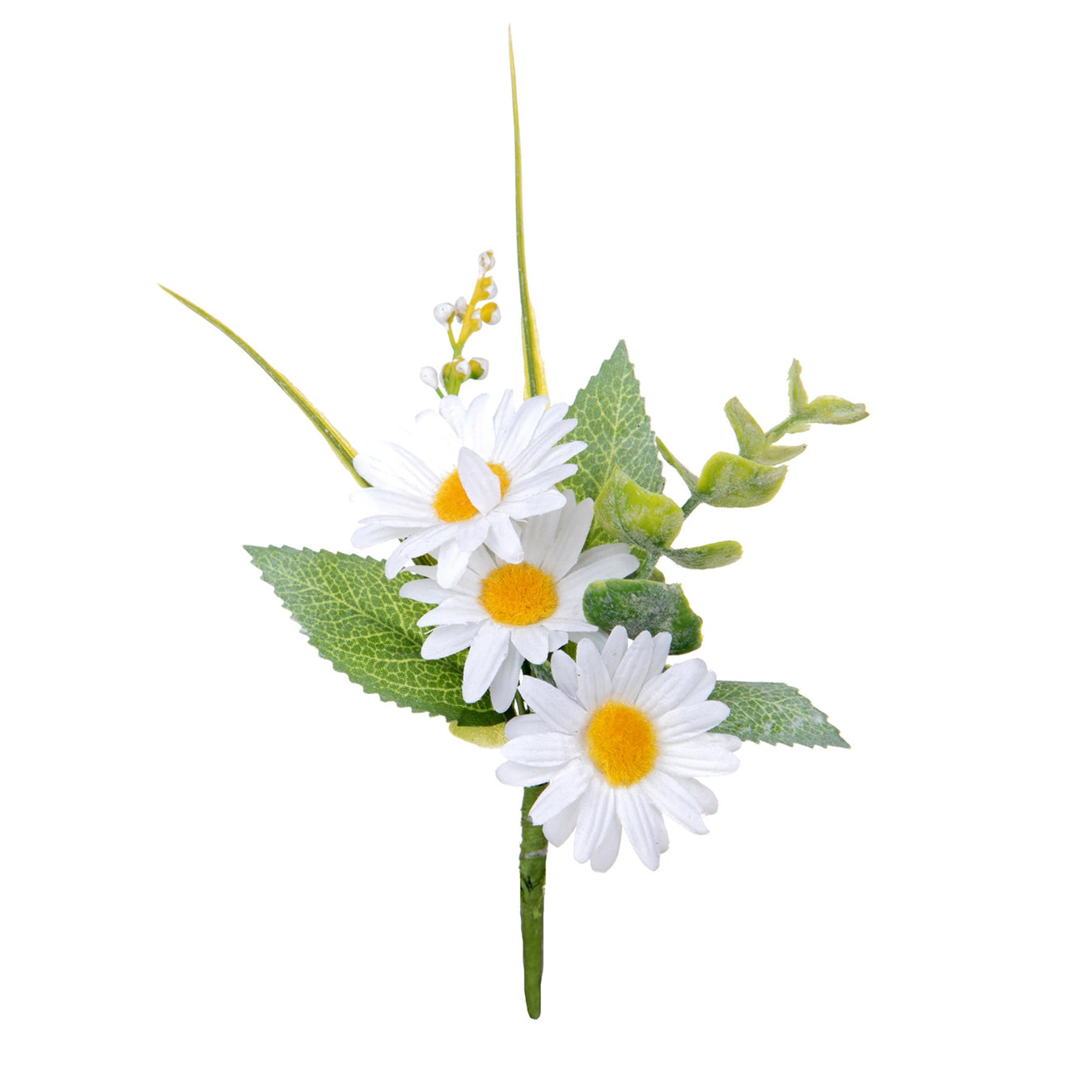 Accessori Pasquali