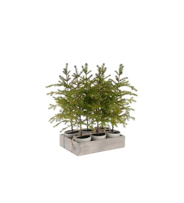 Mini abete artificiale verde in vaso H 45 cm - Mr Plant