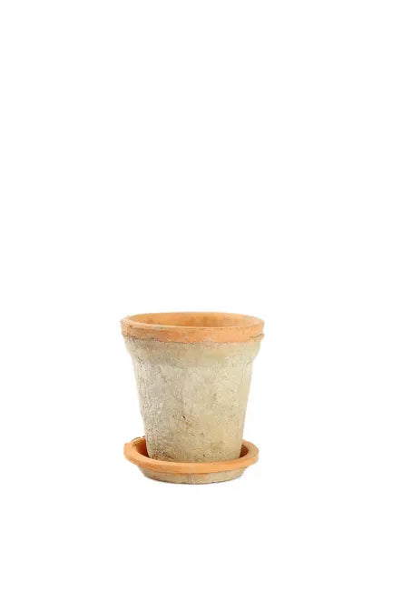 Vaso in terracotta anticato con sottovaso H 14 cm - Mr Plant