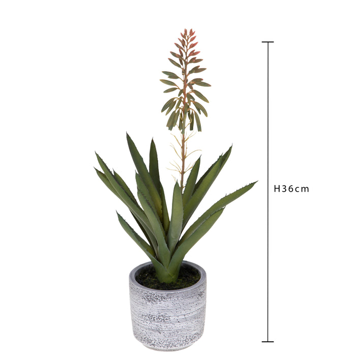 Pianta artificiale aloe H 36 cm - Arredo Casa da Sogno