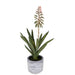 Pianta artificiale aloe H 36 cm - Arredo Casa da Sogno