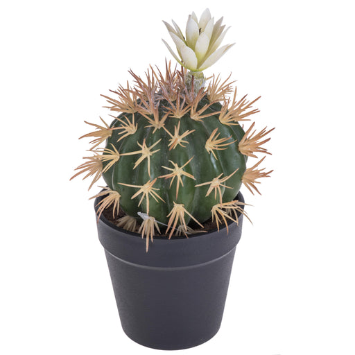 Cactus con fiore in vaso H 19 cm - Arredo Casa da Sogno