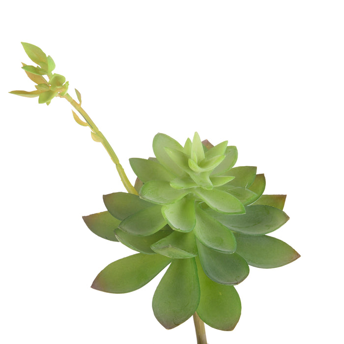 Pianta grassa artificiale Echeveria cactus H 21 cm - Arredo Casa da Sogno