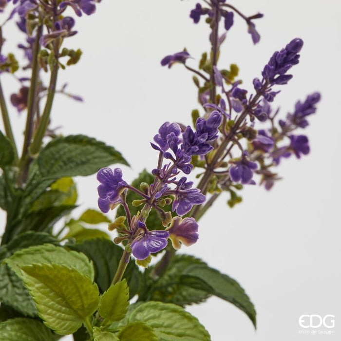 Lavanda con vaso H 40 cm Edg