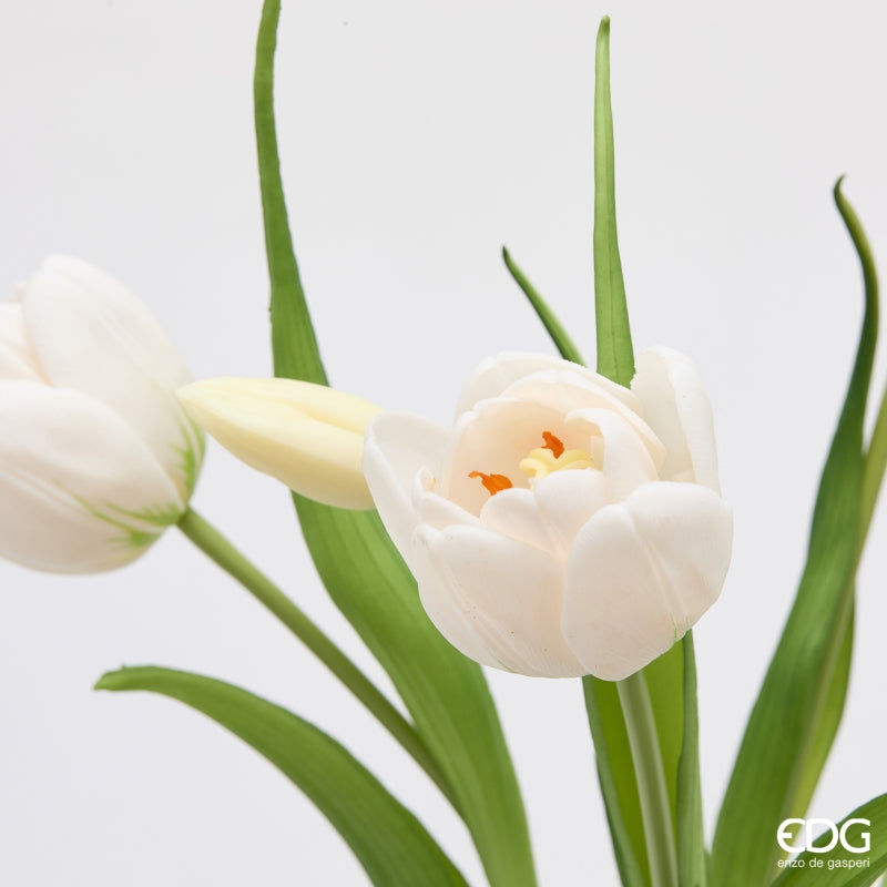 Bouquet di tulipani Bianchi 4 pezzi con bocciolo, altezza 40 cm Edg