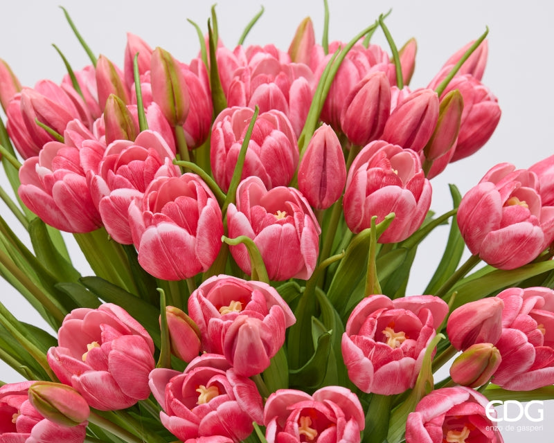 Bouquet di tulipani Malva 4 pezzi con bocciolo, altezza 40 cm Edg