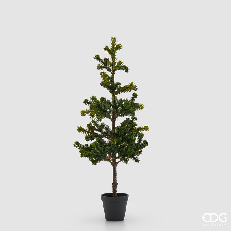 Pino Natalizio con Vaso H 71 cm – EDG