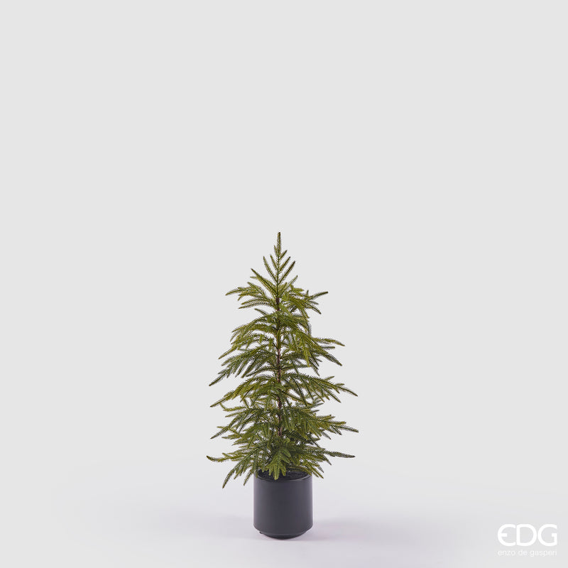 Alberello Natalizio Cryptomeria con Vaso H 79 cm – EDG