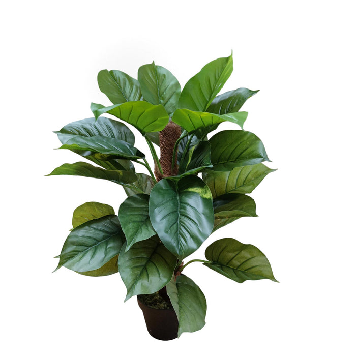 Pianta di pothos artificiale H 75 cm