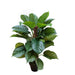 Pianta di pothos artificiale H 75 cm - Arredo Casa da Sogno