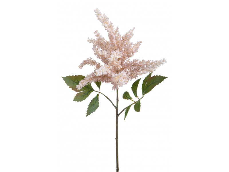 Astilbe Da 70 Cm - Arredo Casa da Sogno