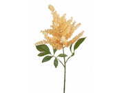 Astilbe Da 70 Cm - Arredo Casa da Sogno