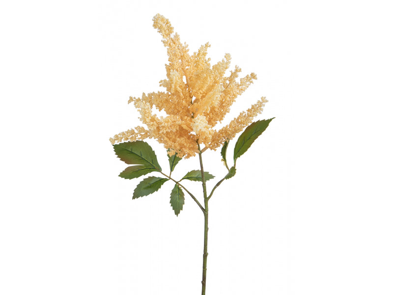 Astilbe Da 70 Cm - Arredo Casa da Sogno