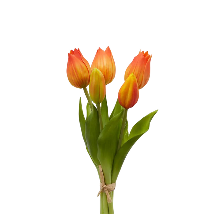 Bouquet 5 Tulipes olis Orange H 40 cm - EDG