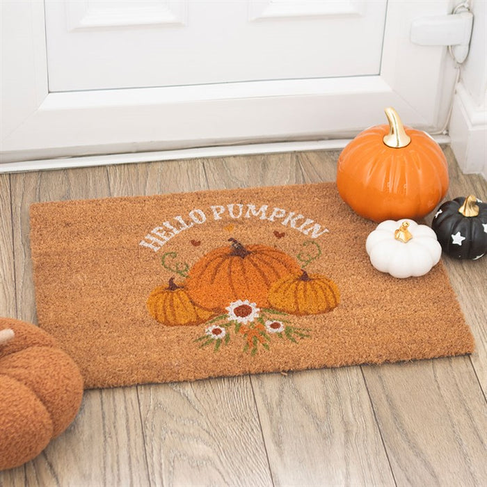 Zerbino " Hello Pumpkin "