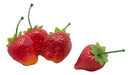 FRAGOLA DECORATIVA SET DA 6  EDG - Arredo Casa da Sogno