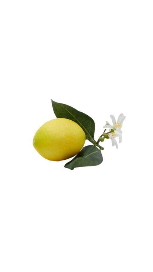 Limone Artificiale Con Fiore Edg - Arredo Casa da Sogno