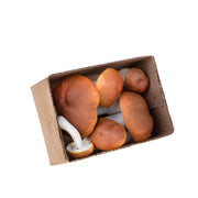 Funghi porcini decorativi pezzi 6 - Arredo Casa da Sogno
