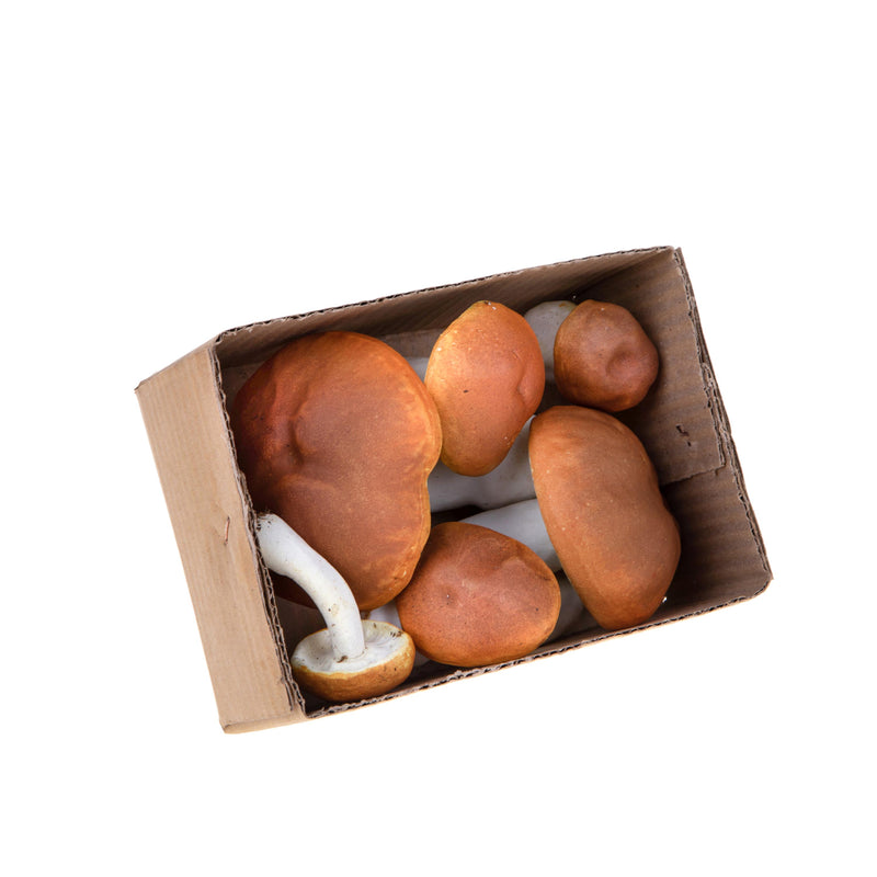 Funghi porcini decorativi pezzi 6 - Arredo Casa da Sogno