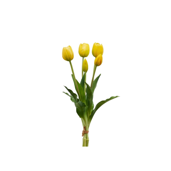 Tulipano mazzo 5 pezzo giallo Edg